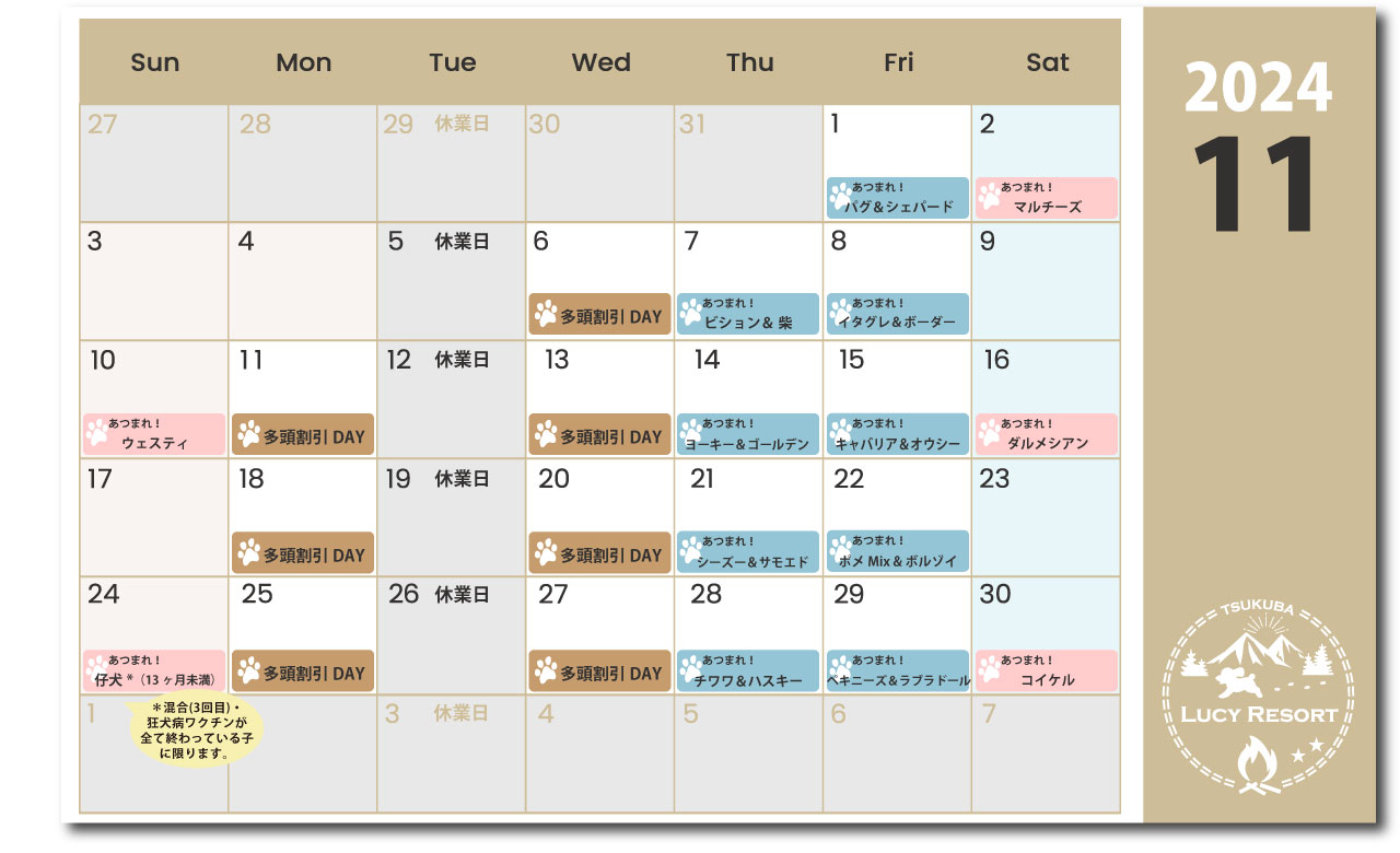 ルーシーリゾート　イベントカレンダー2024年11月