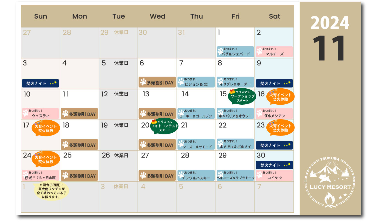 ルーシーリゾート　イベントカレンダー2024年11月