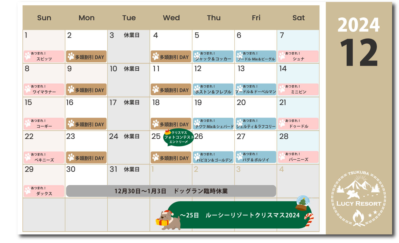 ルーシーリゾート　イベントカレンダー2024年12月