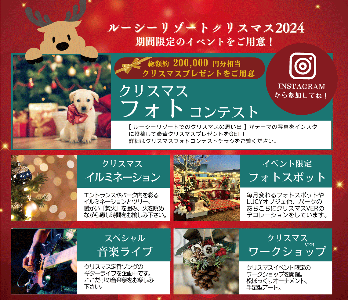 クリスマスイベント愛犬と関東