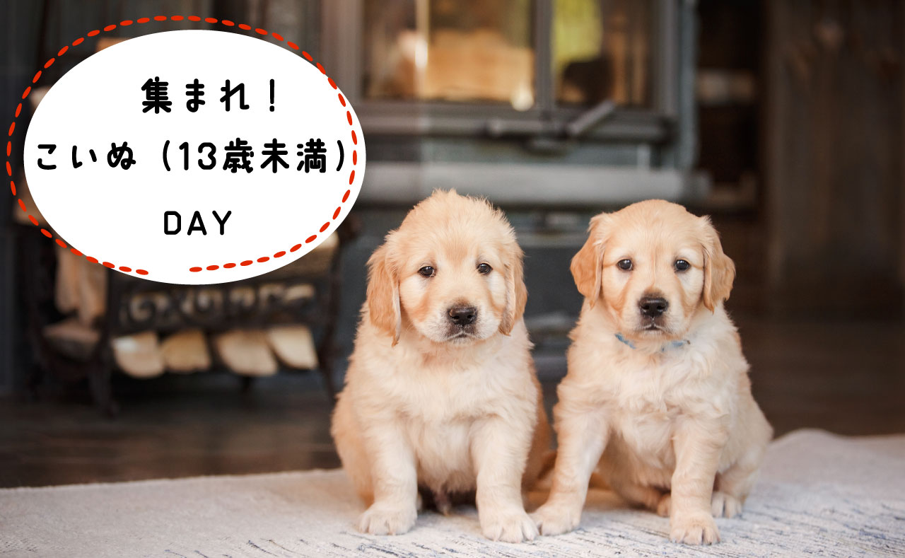 【5月26日】集まれ！仔犬（13ヶ月未満）の日