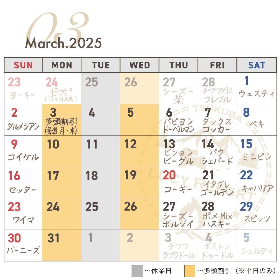 犬種別イベント　2025年3月