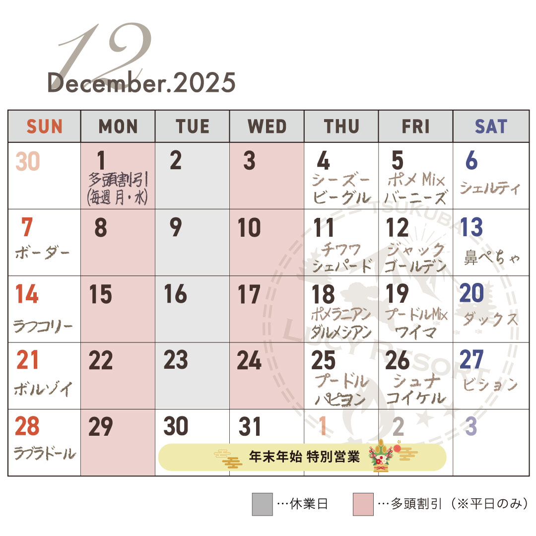 犬種別イベント 2025年12月 ワンコDAY