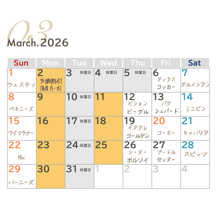 犬種別イベント 2026年3月 ワンコDAY