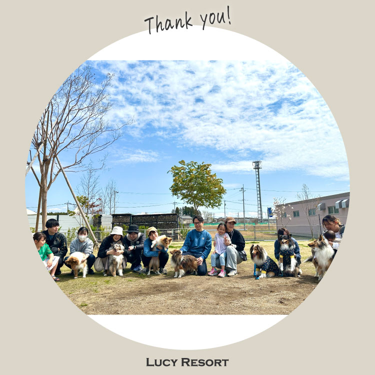 4月5日 シェルティーの日 犬種別イベント オフ会 シェルティ