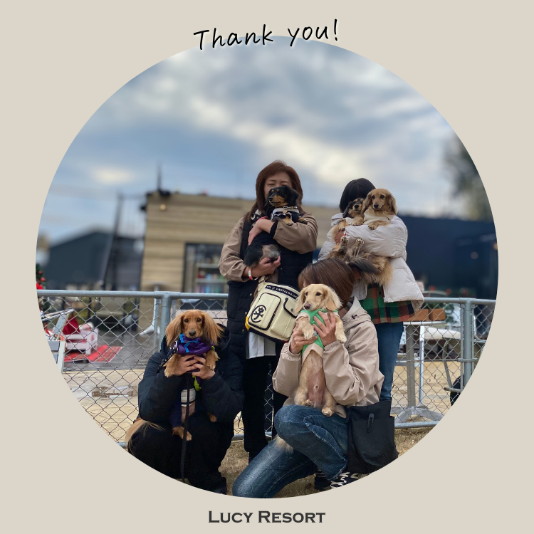 12月20日 ダックスの日 犬種別イベント オフ会 ダックス