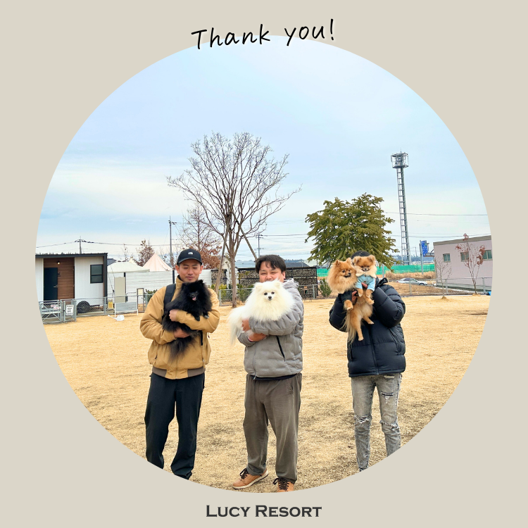 2月11日 ポメラニアンの日 犬種別イベント オフ会 ポメラニアン