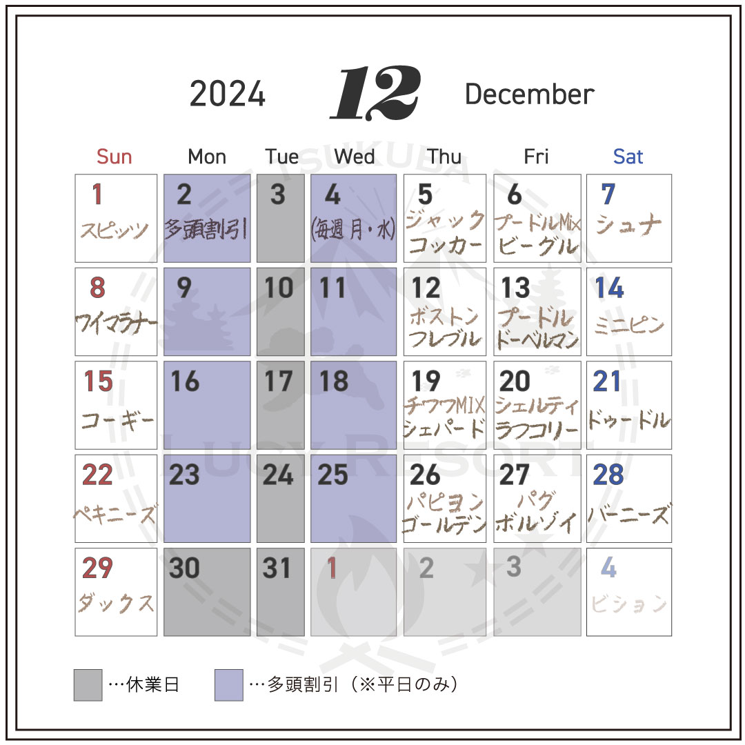 犬種別イベント　2024年12月スケジュールカレンダー