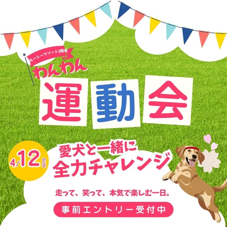 ルーシーリゾート春のわんわん運動会