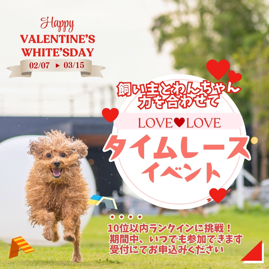 バレンタイン・ホワイトデーイベント ドッグタイムレース
