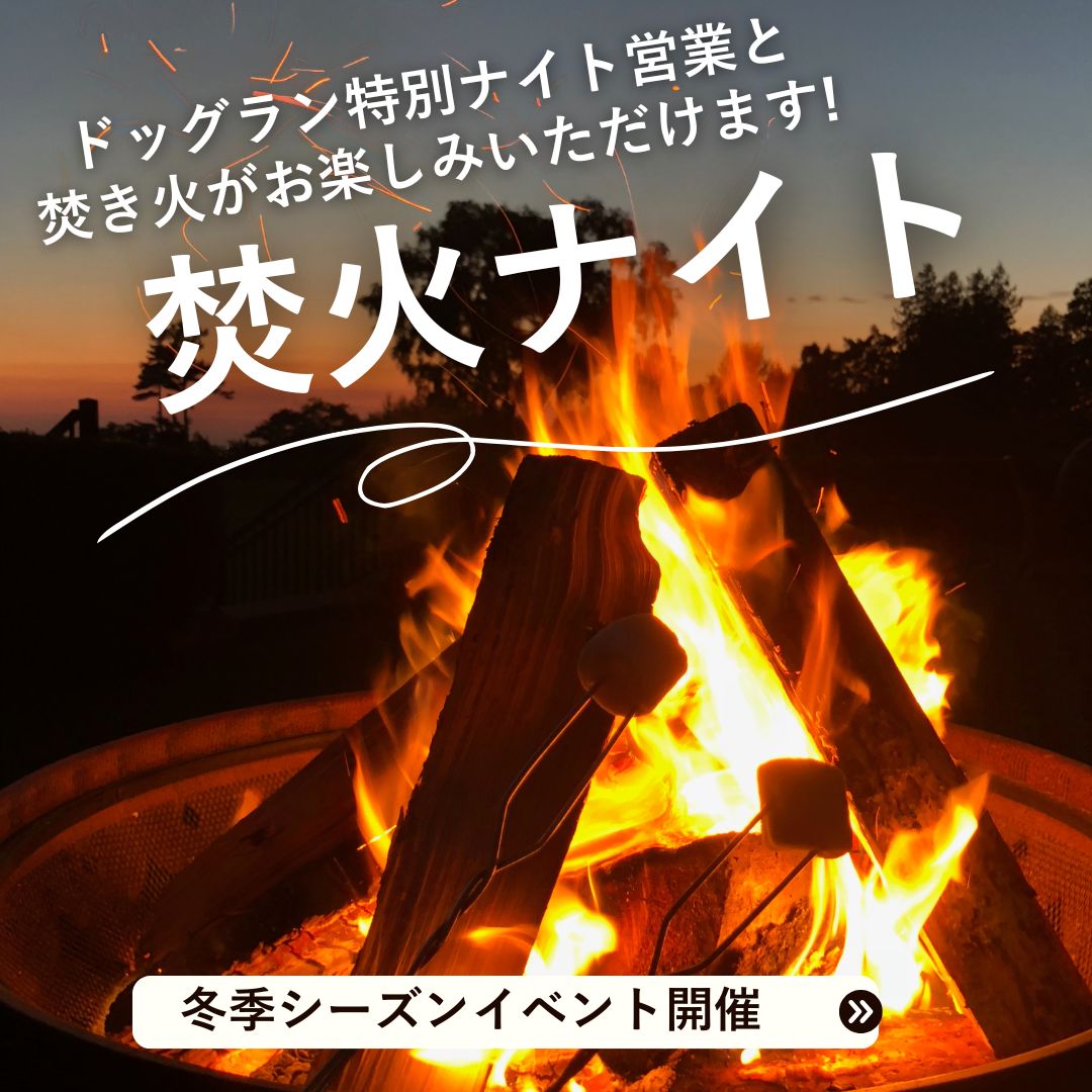 茨城県つくば市で焚火ナイト　10月26日