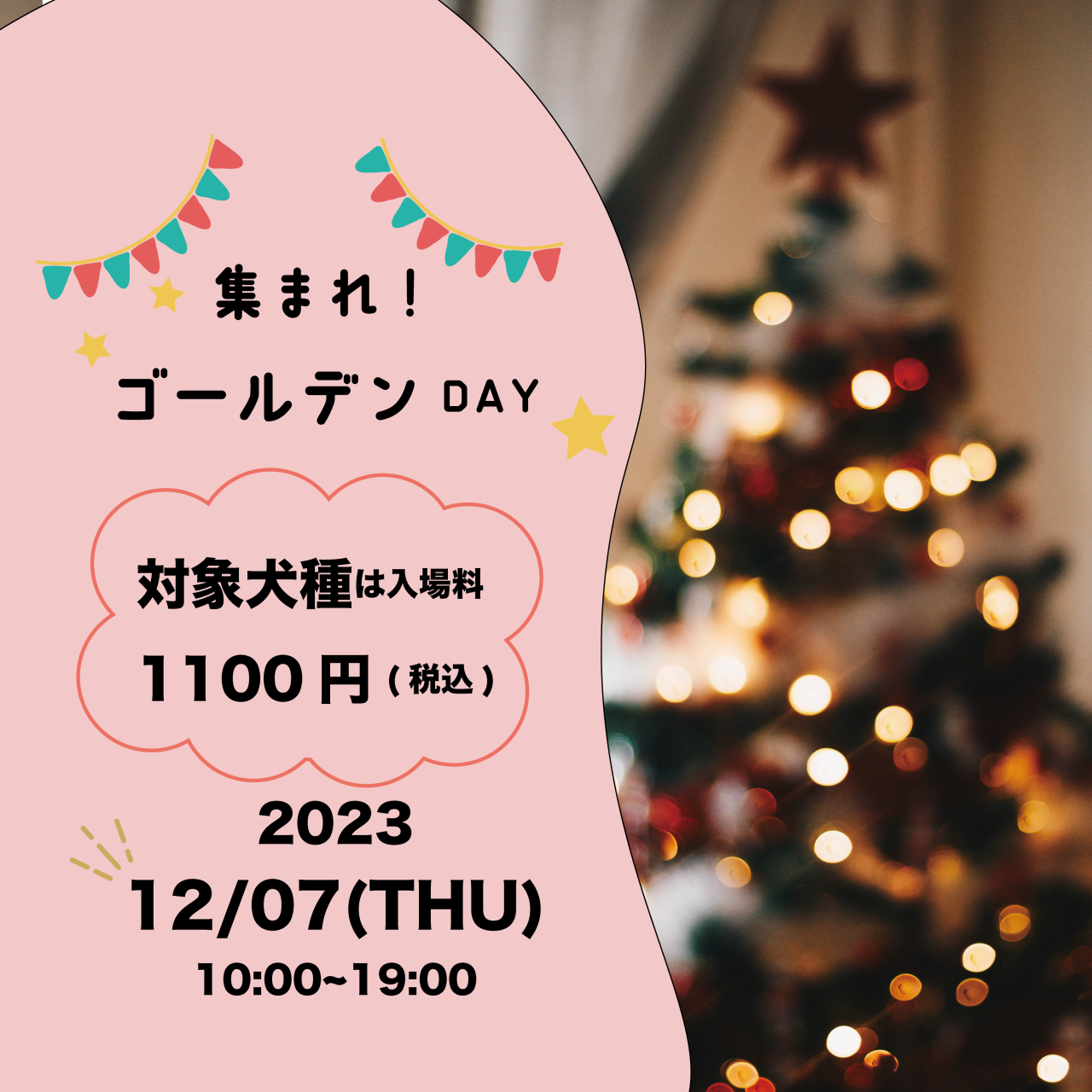  【12月7日】集まれゴールデンレトリバーの日