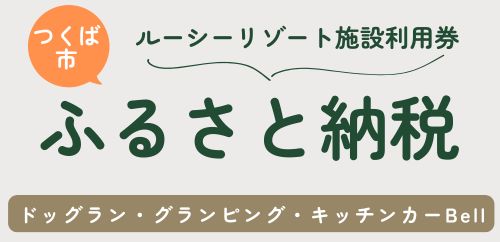 つくば市のふるさと納税返礼品